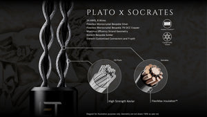 Project 8 - Plato X Socrates